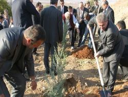 Siirt'teki Tbmm Hatıra Ormanı'na Fidan Dikildi