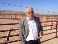 Sarıkaya Canlı Hayvan Pazarı, Kurban Bayramı'ndan Sonra Açılacak