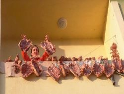 Köylüler, Kaz Satarak Bayram Harçlıklarını Çıkartıyorlar