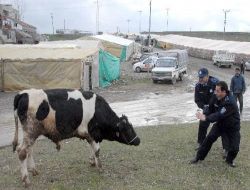 Zabıtalar, Bayram Huzuru İçin İşbaşında Olacak