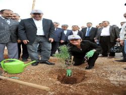Avrupalı Parlamenterler Antalya'da Hatıra Ormanına Fidan Dikti