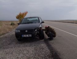 Domuza Çarpan Araç Hurdaya Döndü