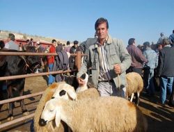 Müftü Vekili Gülden: Kredi Kartı İle Kurban Alınabilir!!