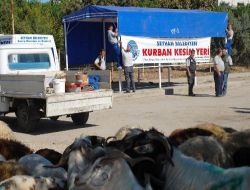 Seyhan'da Kurban Kesim Noktaları Belirlendi