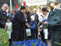 Ormancılar Mezarlıklarda 15 Bin Fidan Dağıttı