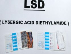 İzmir'de İlk Kez Lsd Emdirilmiş Pul Ele Geçirildi