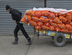 Rusya, 23 Ton Mandalinayı Türkiye'ye Geri Gönderdi