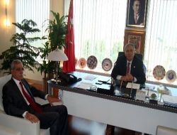 Yök'ün Türkiye'de Yaşayan Diller Enstitüsü Kararı Dtp'yi Tatmin Etmedi