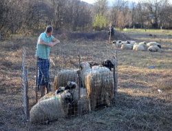 Bosna'da Müslümanlar Camilere Akın Etti