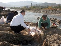Giresun'da Kurban Kesimlerinde Bildik Görüntüler