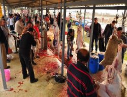 Çanakkale'de Kurban Kesimi Olaysız Bir Şekilde Sürüyor