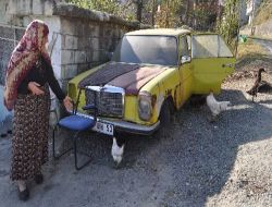 Mercedes'inde Tavuk Besliyor!.