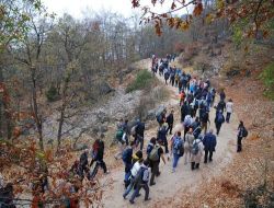 Doğa Severler Taraklı'nın Güzelliklerine Hayran Kaldı