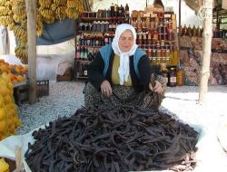 Manavgat Tarım İlçe Müdürlüğü 20 Bin Keçiboynuzu Fidanı Dağıtacak