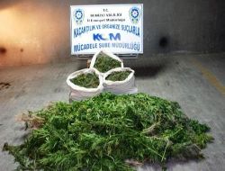 Denizli'de 29 Kilogram Kubar Esrar Ele Geçirildi!