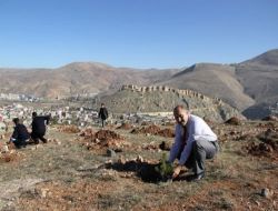 Bayburt Belediyesi'nin Yeşillendirme Çalışmaları Hız Kesmiyor