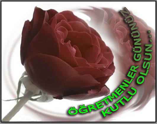 ÖĞRETMENLER GÜNÜ KUTLU OLSUN!