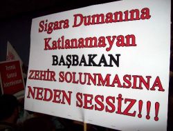 Bartın, Termik Santral İçin Yapılması Gereken Çed Toplantısına İkinci Kez İzin Vermedi