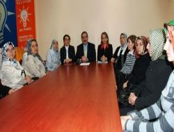 Ak Parti Diyarbakır Kadın Kolları Başkanı Demir: Kadına Şiddet Ürkütücü Boyutta