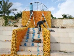 Mersin Narenciye Festivali'nin Hazırlıkları Sürüyor