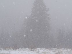 Uludağ'da Kar Kalınlığı 10 Santimetreye Ulaştı