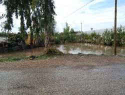 Şiddetli Yağışın Ardından Oluşan Selde Bazı Sera Ve Evler Zarar Gördü