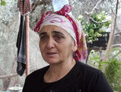 Dayak Yüzünden Boşandı; Oğlu Da Alkol Ve Uyuşturucu Yüzünden Dövdü