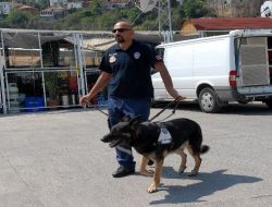 Alanya'nın Narkotik Ve Bomba Köpeği Emekliye Ayrıldı