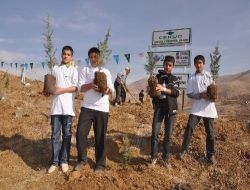 Malatya'da 5 Bin Fidan Toprakla Buluştu