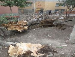 Samsun'da Etkili Olan Lodos, Hayatı Olumsuz Etkiliyor