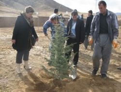 Bitlis Eren Üniversitesi İle Betav'dan 'her Öğrenciye Bir Fidan Projesi'
