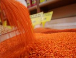 Türkiye'den Gelen 3,2 Ton Kırmızı Mercimek Rusya'da İmha Edildi!