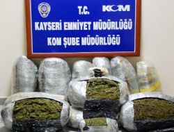 Narkotik Dedektör Köpek Zeus Araçta Gizlenen 50 Kilo Esrarı Buldu