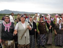 Sakarlılı Kadınlar Mera Alanına Ağaç Dikilmesine Karşı Çıktı