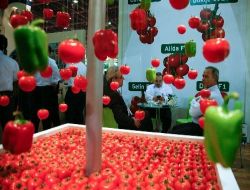 Growtech Heyecanı Başlıyor, Tarım Sektörü Dünyayla Buluşacak