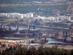 "İskenderun Limanı'nın Özelleşme Sürecinin Uzaması Yatırımlara Zarar Verir"