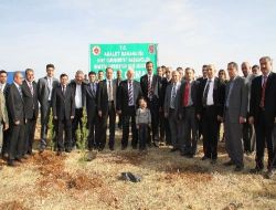 Ağaç Fidanı Dikme Mahkumları, 550 Fidanı Toprakla Buluşturdu