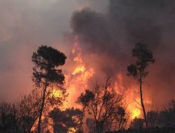 İsrail'de Yangın: Türkiye 2 Söndürme Uçağı Gönderiyor!!