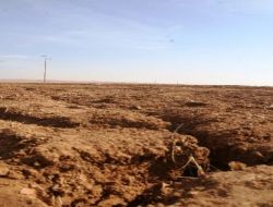Mardin Yöresinde Son 50 Yılın En Kurak Sonbaharı Yaşanıyor