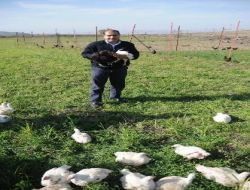 Tavuğu Yonca İle Besledi, 'yonca Köylüm' Markası İle Raflara Çıkacak