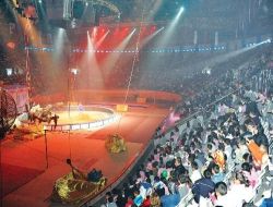 Büyük Ankara Sirki Coşkusu Devam Ediyor!.