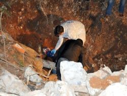 Döverek Öldürüp Çukura Attılar