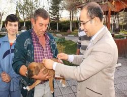Polatlı Belediyesi Sokak Hayvanlarını Aşılıyor
