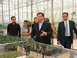 Pamukkale Üniversitesi'nde Türkiye'ye Uygun Soğan Çeşitleri Geliştiriliyor