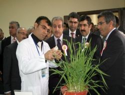 "türkiye Kuraklığa Dayanıklı Tohumun Merkezi Olacak"