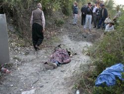 Sürücüyü Arı Soktu Otomobil Uçuruma Yuvarlandı: 1 Ölü