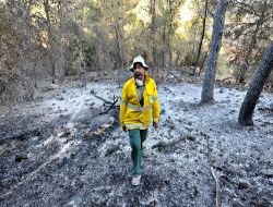 İsrail'deki Orman Yangını Tamamen Söndürüldü!