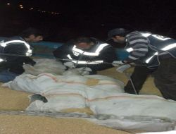 Nakliye Kamyonunda 209 Kilogram Esrar