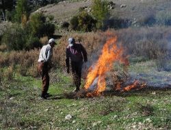Çiftçiler, Kuru Ot Yakılmasına Karşı Uyarıldı