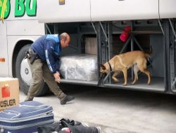 Narkotik Dedektör Köpekler Kapıkule'de Staj Yapıyor!